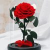 Aesthetic Rose In A Glass Diamond Painting
