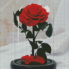 Aesthetic Rose In A Glass Diamond Painting