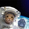 Aesthetic Space Cat Diamond Painting