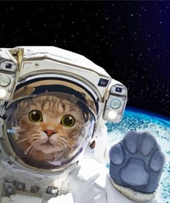 Aesthetic Space Cat Diamond Painting