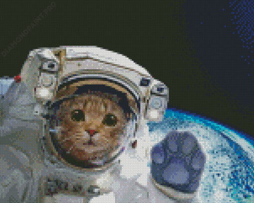 Aesthetic Space Cat Diamond Painting