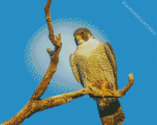 Aesthetic Peregrine Falcon Diamond Painting