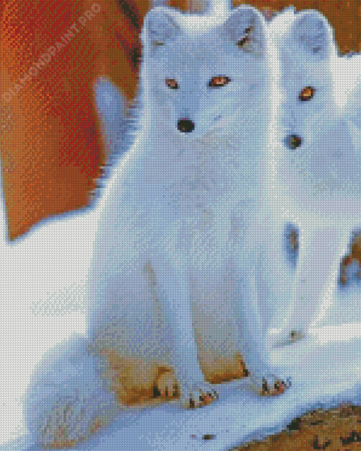 Arctic Fox Animals Diamond Painting