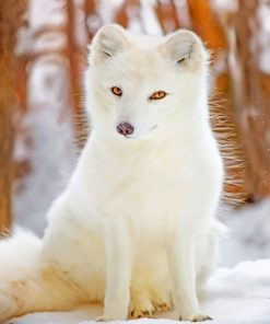 Arctic Fox Diamond Painting