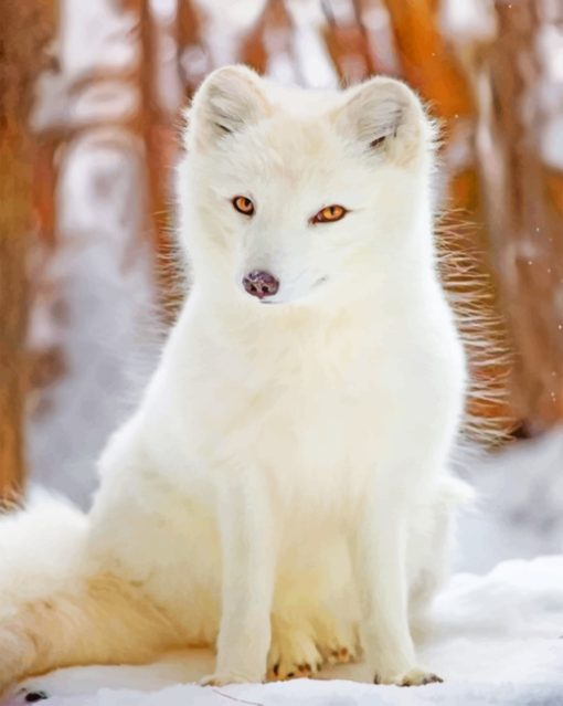 Arctic Fox Diamond Painting