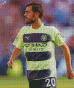 Bernardo Silva Footballer Diamond Painting