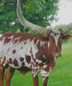 Bull With Horns Diamond Painting