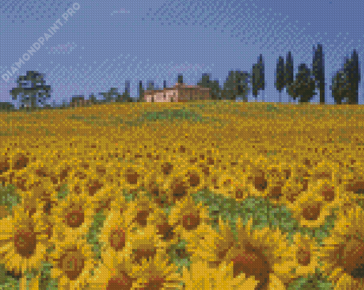 Farm On The Hillside Diamond Painting