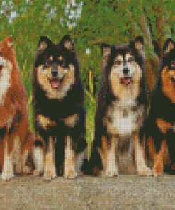 Finnish Lapphund Puppies Diamond Painting