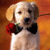 Golden Puppy With Red Rose Diamond Painting