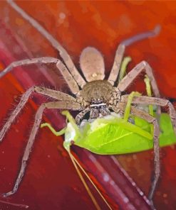 Huntsman Spider Feeding Diamond Painting