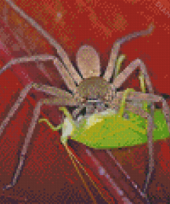 Huntsman Spider Feeding Diamond Painting