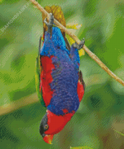 Lory Parrot Hanging Diamond Painting
