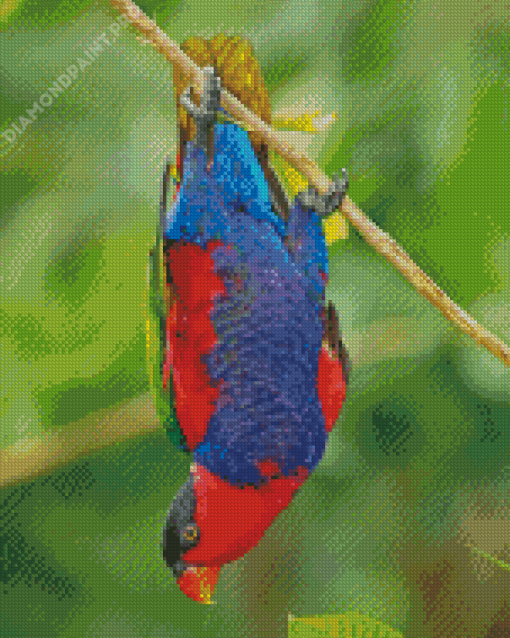 Lory Parrot Hanging Diamond Painting