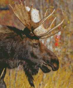 Moose Head With Horness Diamond Painting