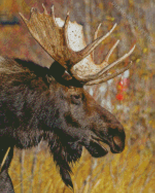 Moose Head With Horness Diamond Painting