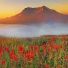 Mt St Helens With Red Poppies Diamond Painting