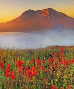 Mt St Helens With Red Poppies Diamond Painting