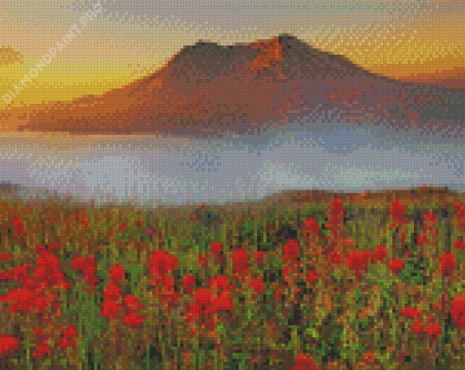 Mt St Helens With Red Poppies Diamond Painting