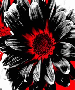 Abstract Red White And Black Daisy Diamond Painting