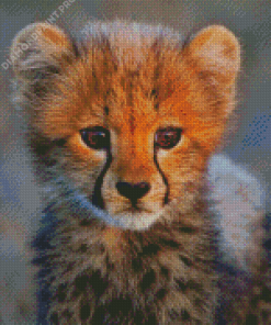 Adorable Cheetah Baby Diamond Painting
