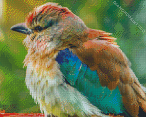 Adorable Roller Bird Diamond Painting