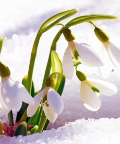 Adorable Spring Flower In Snow Diamond Painting