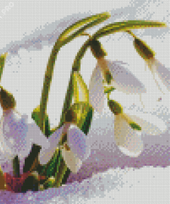 Adorable Spring Flower In Snow Diamond Painting