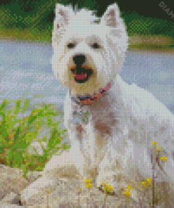Aesthetic White Highland Terrier Diamond Painting