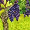 Aesthetic Grape Vines Art Diamond Painting