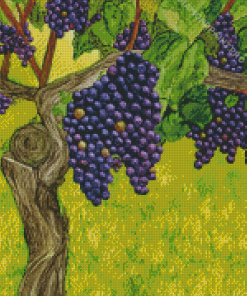 Aesthetic Grape Vines Art Diamond Painting