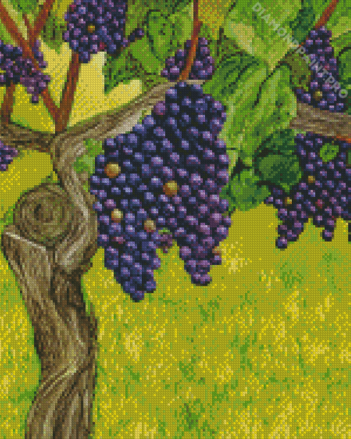 Aesthetic Grape Vines Art Diamond Painting