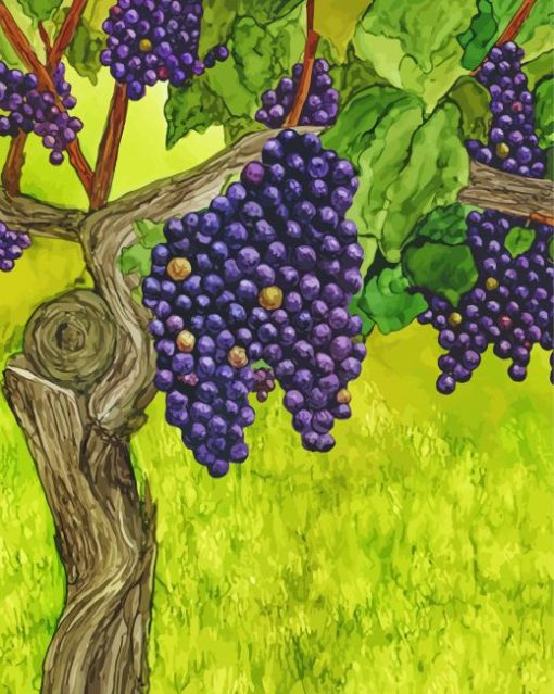 Aesthetic Grape Vines Art Diamond Painting