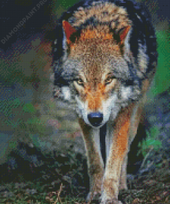 Aesthetic Angry Wolf Art Diamond Painting