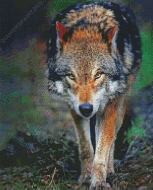 Aesthetic Angry Wolf Art Diamond Painting