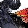 Aesthetic Black Cockatoo Diamond Painting