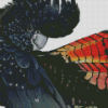 Aesthetic Black Cockatoo Diamond Painting