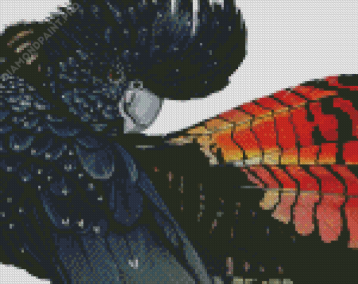 Aesthetic Black Cockatoo Diamond Painting