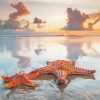 Beach Sunset Starfish Diamond Painting