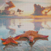 Beach Sunset Starfish Diamond Painting