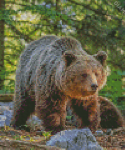 Brown Swedish Bear Diamond Painting