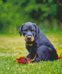 Doberman Pinscher Puppy Diamond Painting