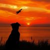 Dog Bird Sunset Silhouette Diamond Painting