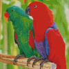 Eclectus Parrots Diamond Painting