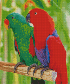 Eclectus Parrots Diamond Painting