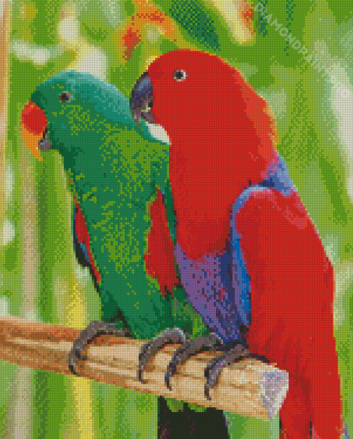 Eclectus Parrots Diamond Painting