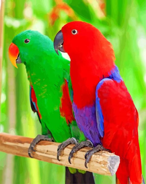 Eclectus Parrots Diamond Painting