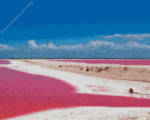 Pink Lake In Mexico Diamond Painting
