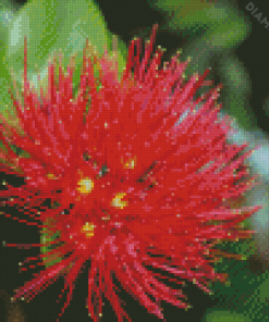 Red Pohutukawa Flower Diamond Painting