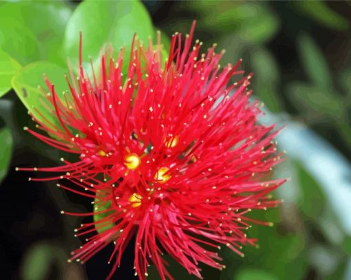 Red Pohutukawa Flower Diamond Painting
